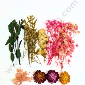 Vibrant Natural Dried Flowers | Preserved Flowers (Pack of 1) - Assorted Color -  CAKE DECOR™
