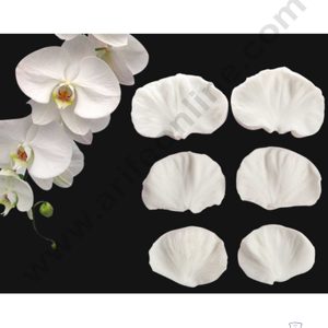 CAKE DECOR™ 6 Cavity Leaves Shape Silicone Fondant Mold Silicon Marzipan Mould SBSP-DYF6391