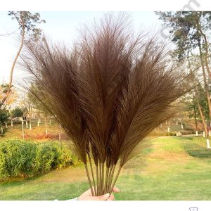 CAKE DECOR™ Brown Color Artificial Dried Pampas Grass For Cake Decoration Bouquet Wedding Party Centerpieces Decorative – Brown (1 Stick)