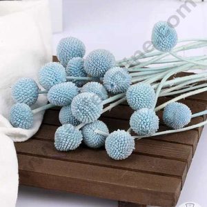CAKE DECOR™ Light Blue Color Natural Craspedia Balls Billy Buttons For Cake Decoration Bouquet Wedding Party Centerpieces Decorative – Light Blue (5 pcs pack)