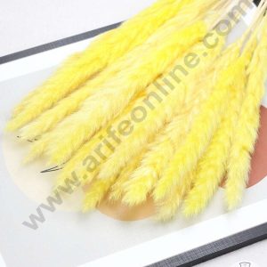 CAKE DECOR™ Light Yellow Color Natural Dried Reed Plumes For Cake Decoration Bouquet Wedding Party Centerpieces Decorative – Light Yellow (1 Stick)