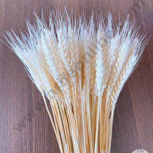 CAKE DECOR™ Natural White Color Dried Wheat Grass Wheat Stalks For Cake Decoration Bouquet Wedding Party Centerpieces Decorative - White (10 pcs pack)