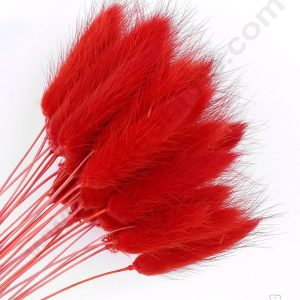 CAKE DECOR™ Red Color Natural Bunny Tails For Cake Decoration Bouquet Wedding Party Centerpieces Decorative – Red (50 pcs pack)