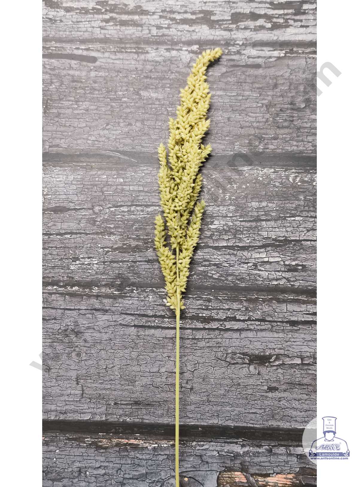 CAKE DECOR™ Small Natural Dried Shyama Grass For Cake Decoration ( 10 Stick Pack )