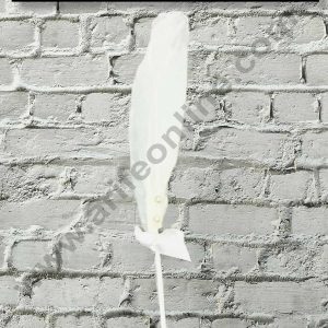 CAKE DECOR™ 1pcs White Happy Birthday Feather Topper For Cake Decoration ( SB-FEATHER-350-White )