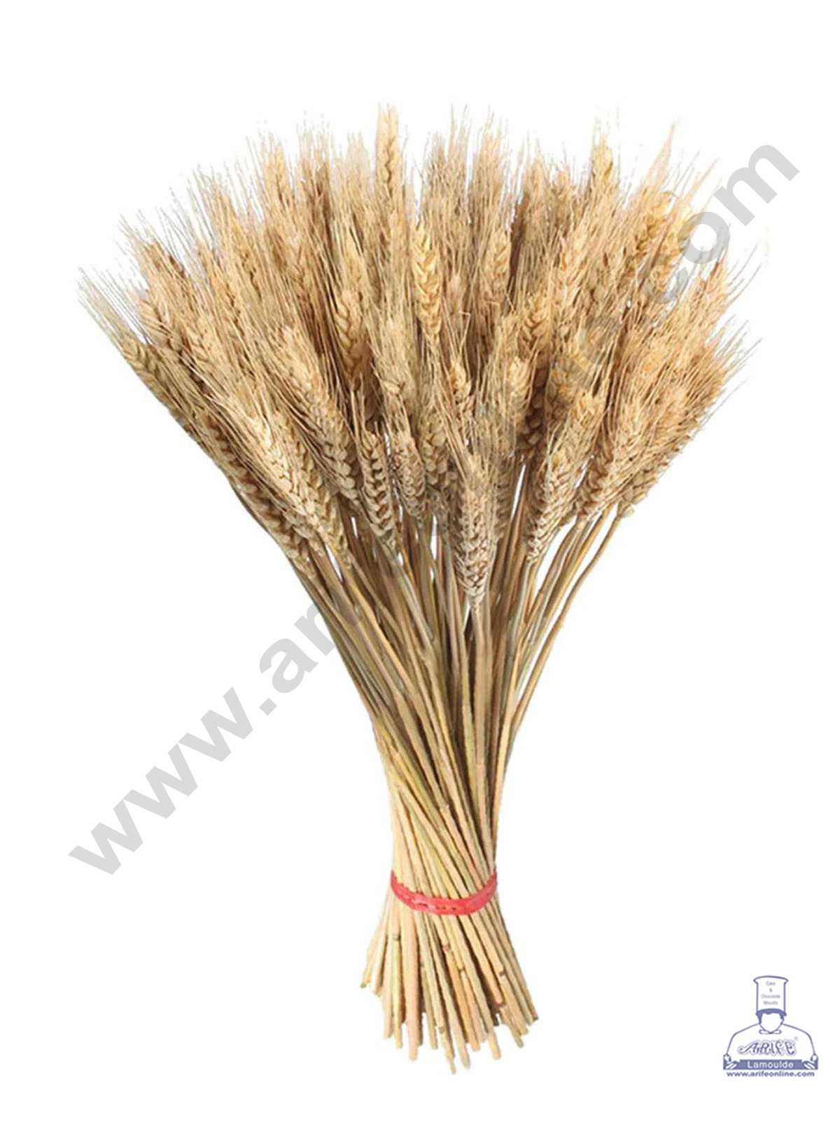 Cake Decor Natural Dried Wheat Grass Wheat Stalks For Cake Decoration Bouquet Wedding Party Centerpieces Decorative (10 pcs pack)