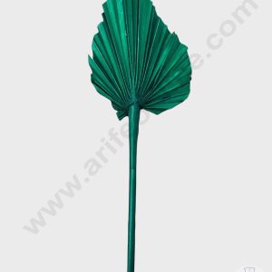 Cake Decorβ’ Natural Palm Spear Leaf For Cake Decoration - Dark Green ( 1 pc pack )