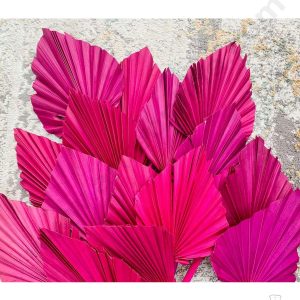 Cake Decorβ’ Natural Palm Spear Leaf For Cake Decoration - Raani Pink ( 1 pc pack )