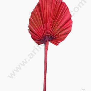 Cake Decorβ’ Natural Palm Spear Leaf For Cake Decoration - Red ( 1 pc pack )
