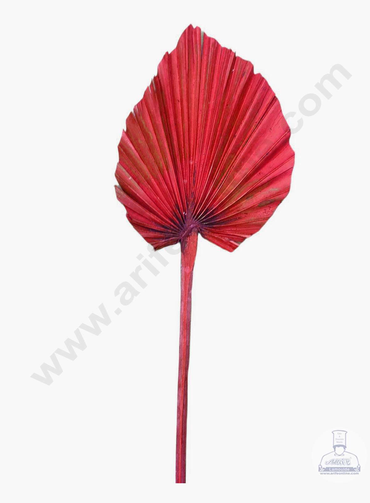 Cake Decorβ’ Natural Palm Spear Leaf For Cake Decoration - Red ( 1 pc pack )