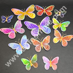 Holographic Multicolor 3D Magnetic Butterfly Cake Toppers |  Hamper Decor – Set of 12 (Design 7 )- CAKE DECOR™