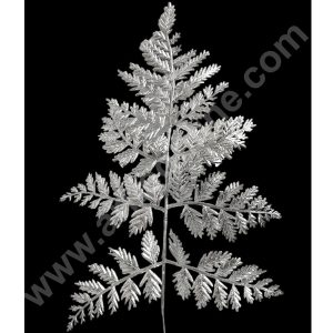 Cake Decor™  Artificial Fern Leaf Branches For Cake Decoration – 1 Piece