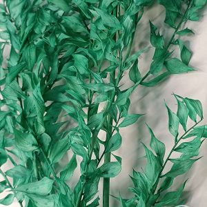 CAKE DECOR™ Green Color Natural Dried Ruscus Leaves For Cake Decoration Bouquet Wedding Party Centerpieces Decorative – Green (2 Stick)