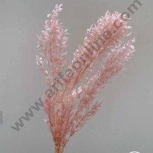 CAKE DECOR™ Light Peach Color Natural Dried Ruscus Leaves For Cake Decoration Bouquet Wedding Party Centerpieces Decorative – Light Peach (2 Stick)