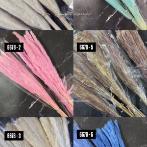 Pompass - Assorted Colour