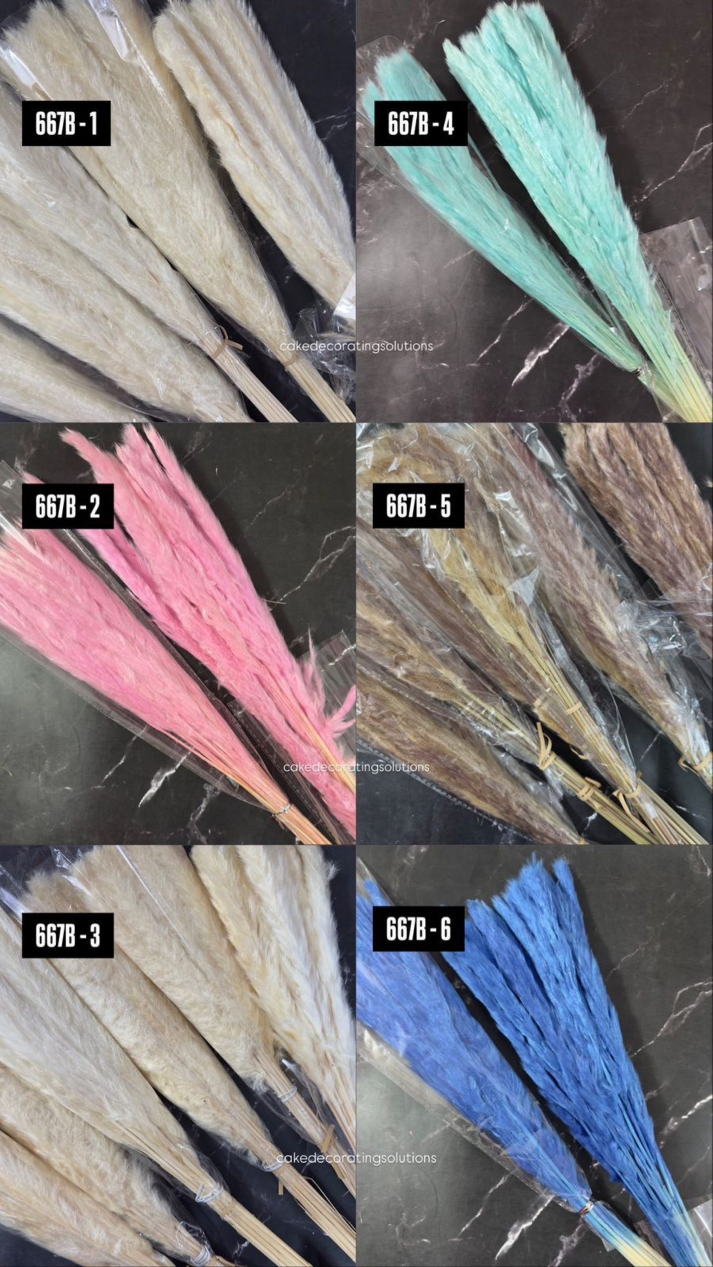 Pompass - Assorted Colour - Image 1