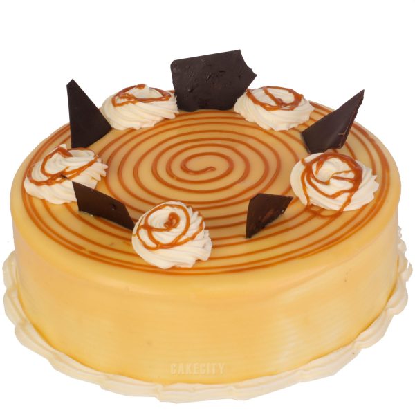 Baki Pm 150 Dark Brown