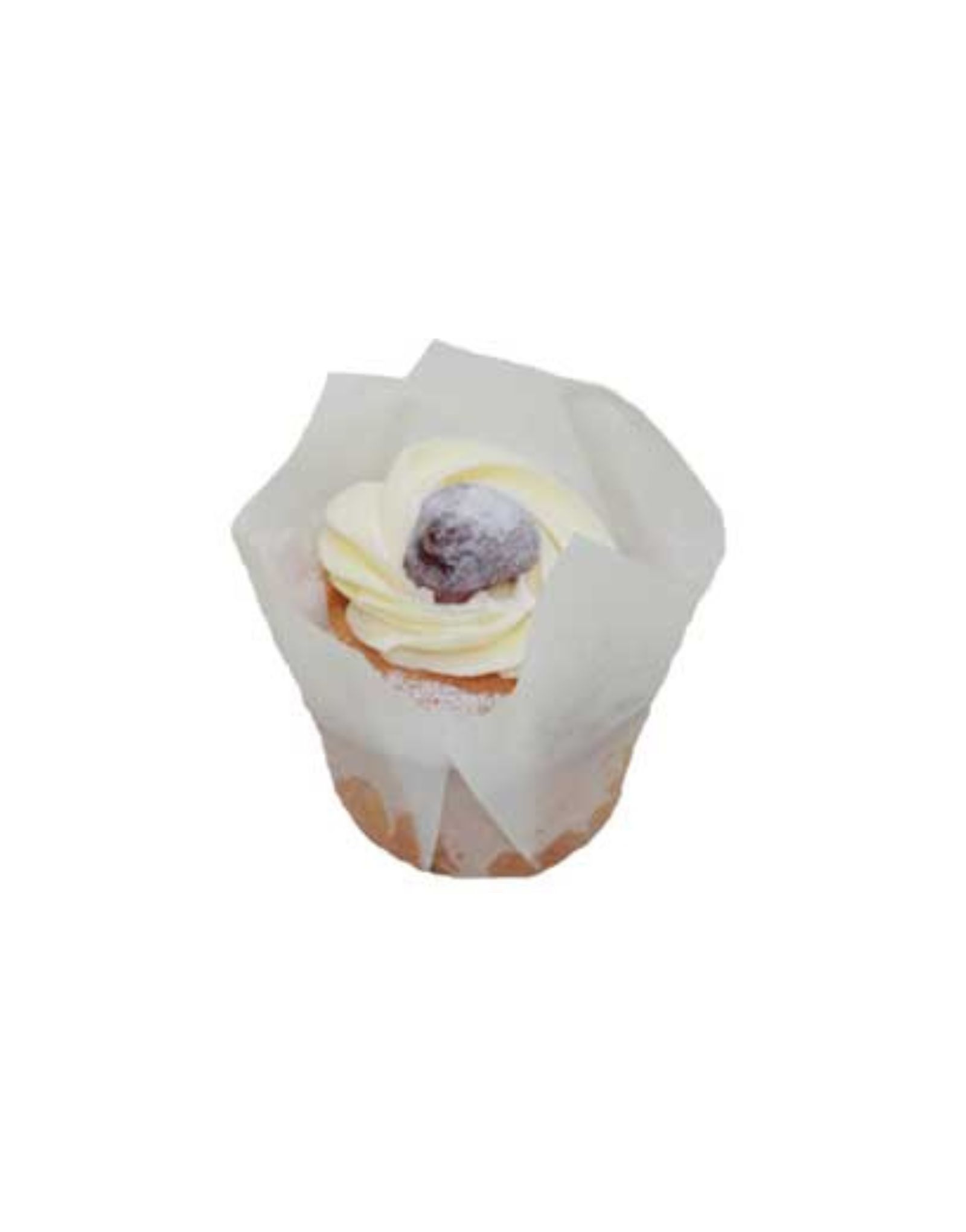 Blueberry Muffin 100g 79819 - Image 1