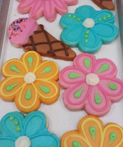 CH Pippets Assorted Designs