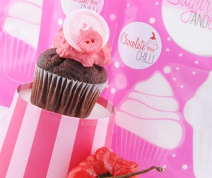 Celebre Chocofill Cruncy 1011-1kg