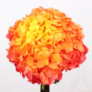 Ch. 10 Hydrangea Flower Bunch Orange C881-1