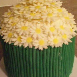 Ch. 20 Daisy Flower Bunch Green