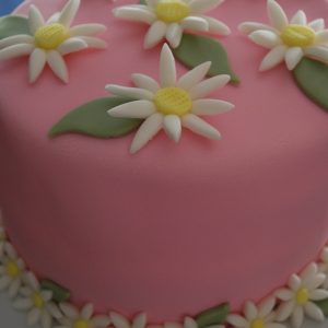 Ch. 20 Daisy Flower Bunch Pink