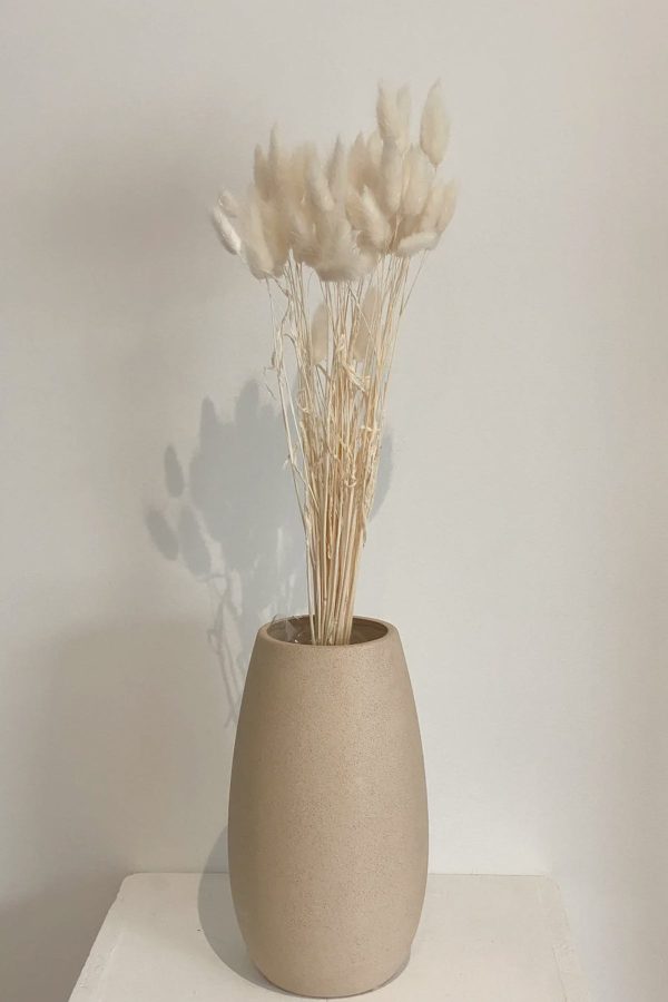 Ch Bunny Tails Assorted Packet CDS 9 (666B)