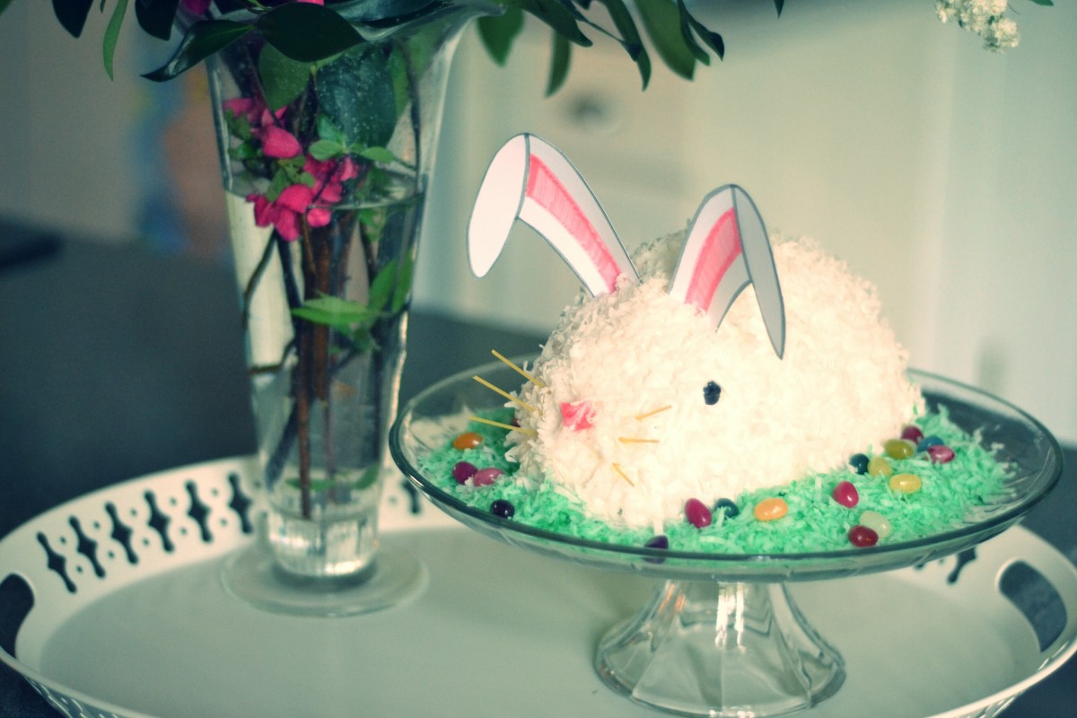 Ch. Bunny Tails White - Image 1