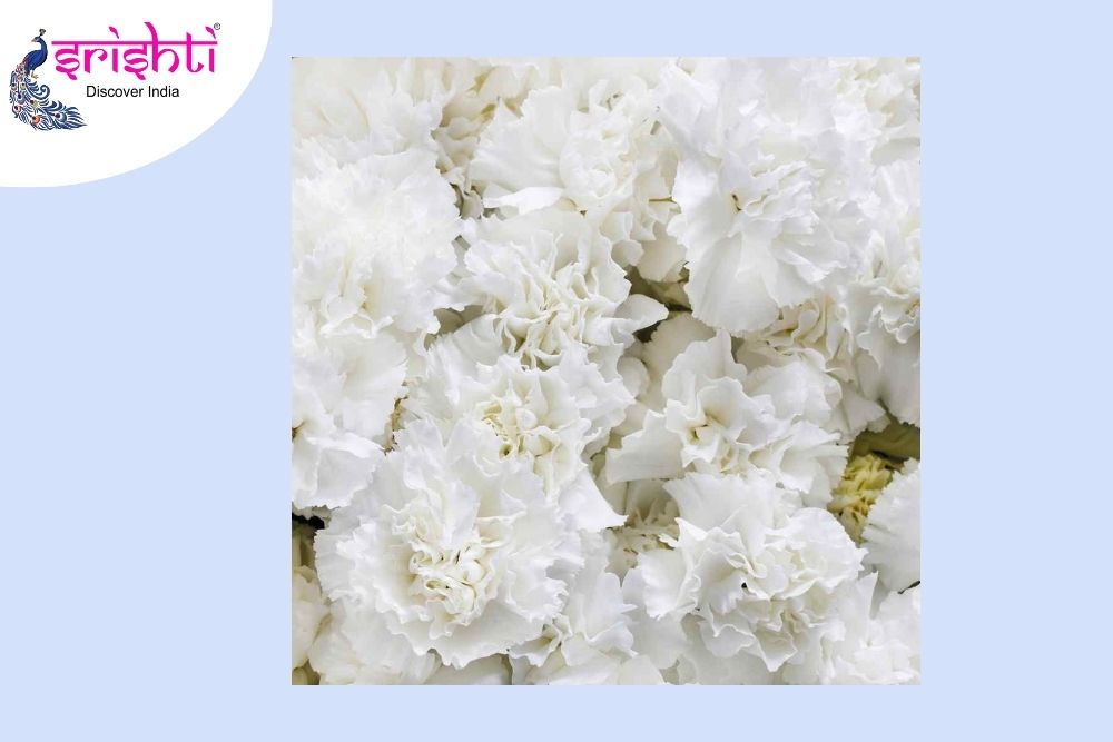 Ch. Carnation Folower Bunch (7 Pcs) CDS 90 - Image 1