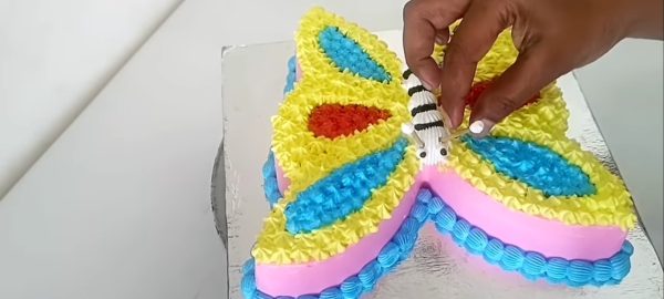 Ch. Non Ediable Butterfly CDS 45