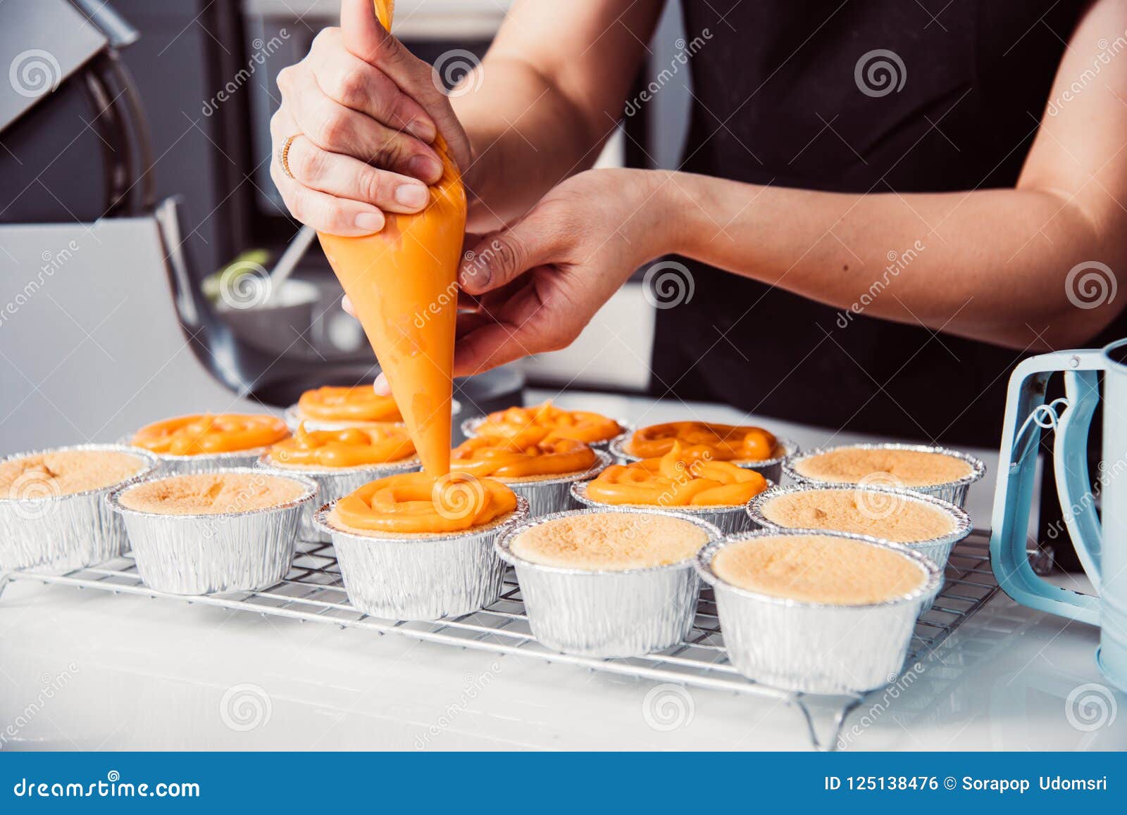 Ch. Nozzel Grass CDS 33/16 - Image 1