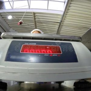 Ch. SF400 Weighing Scale