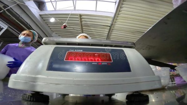 Ch. SF400 Weighing Scale