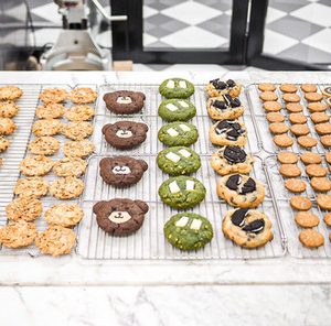 Chef Master Cookie Icing Pouch Orange