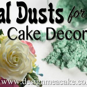 Colourmist Petal Dust-Coal Black 10 Gm