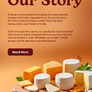 Dlecta Filler Cheese 1kg