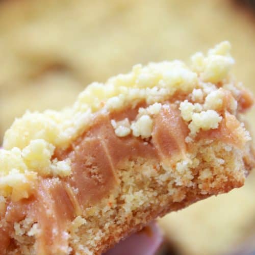 FABRI BUTTER SALTED CARAMEL (1*4.5 Kg)