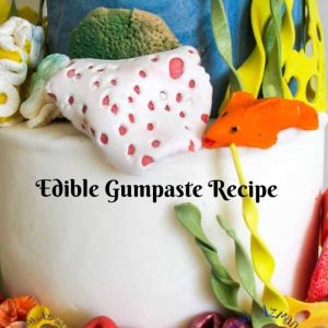 FD Edible Gum 100 Grms