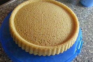 Fabri Base Vegan 350gm