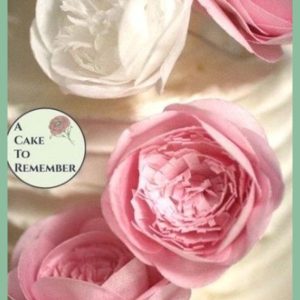 Fd Wafer Flower Rose Bv2728