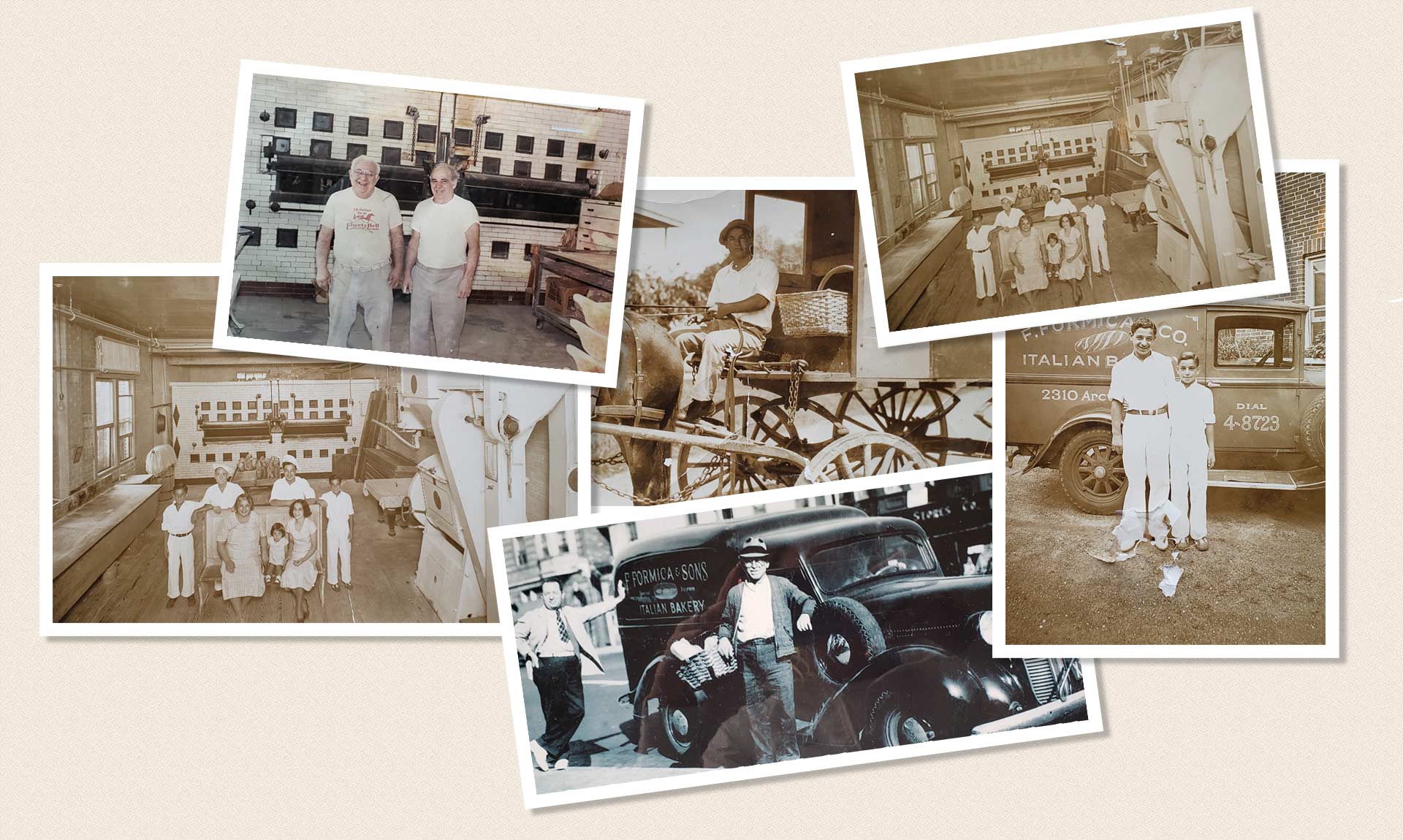 Fiordibosco C 18089 - Image 1