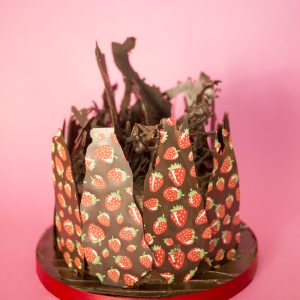 Foodecor Chocolate Transfer Assorted BV3048