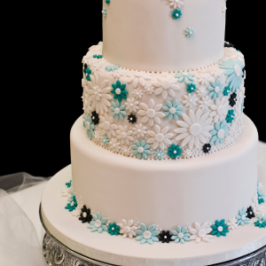 Foodecor Plain Transfer Sheets 25sheets 1 Pack