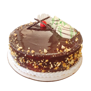 MORDE CHOCO COATED CASHEW