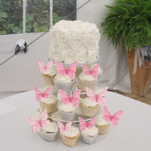 PIC LICK EDIBLE BUTTERFLY ASSORTED