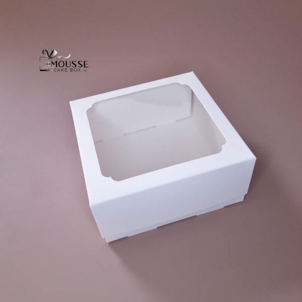 PVC MAcroon Box FJ006
