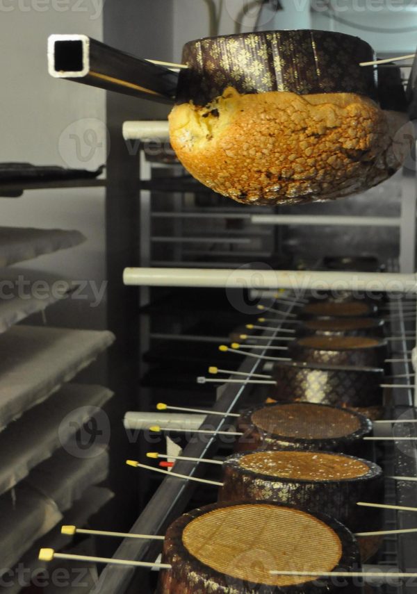 Panettone Basso Brown Big 100 Pcs Pkt