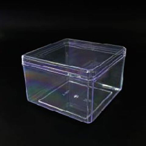 Plastic Desert Box LSB 4