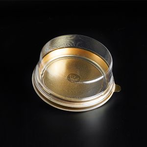 Plastic Desert Box LSB 6